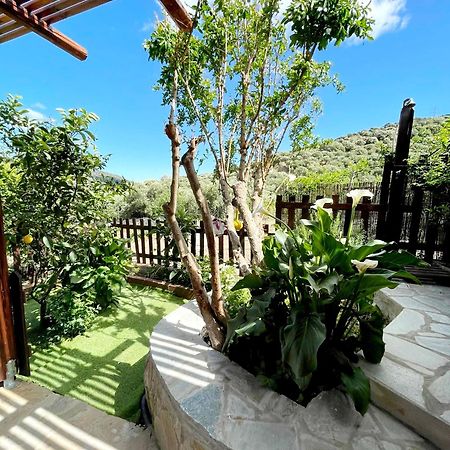 فيلا Platipodi Stone House Nikithianos المظهر الخارجي الصورة